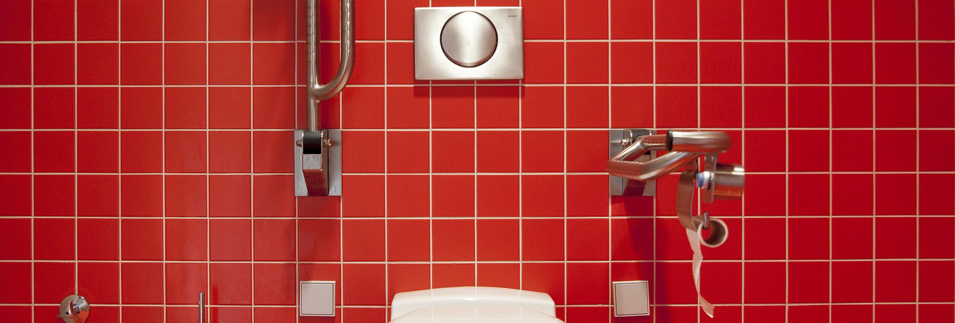 Disabled Bathrooms / Mobility
